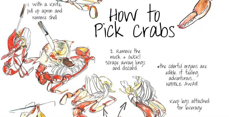 How To: Pick Crabs