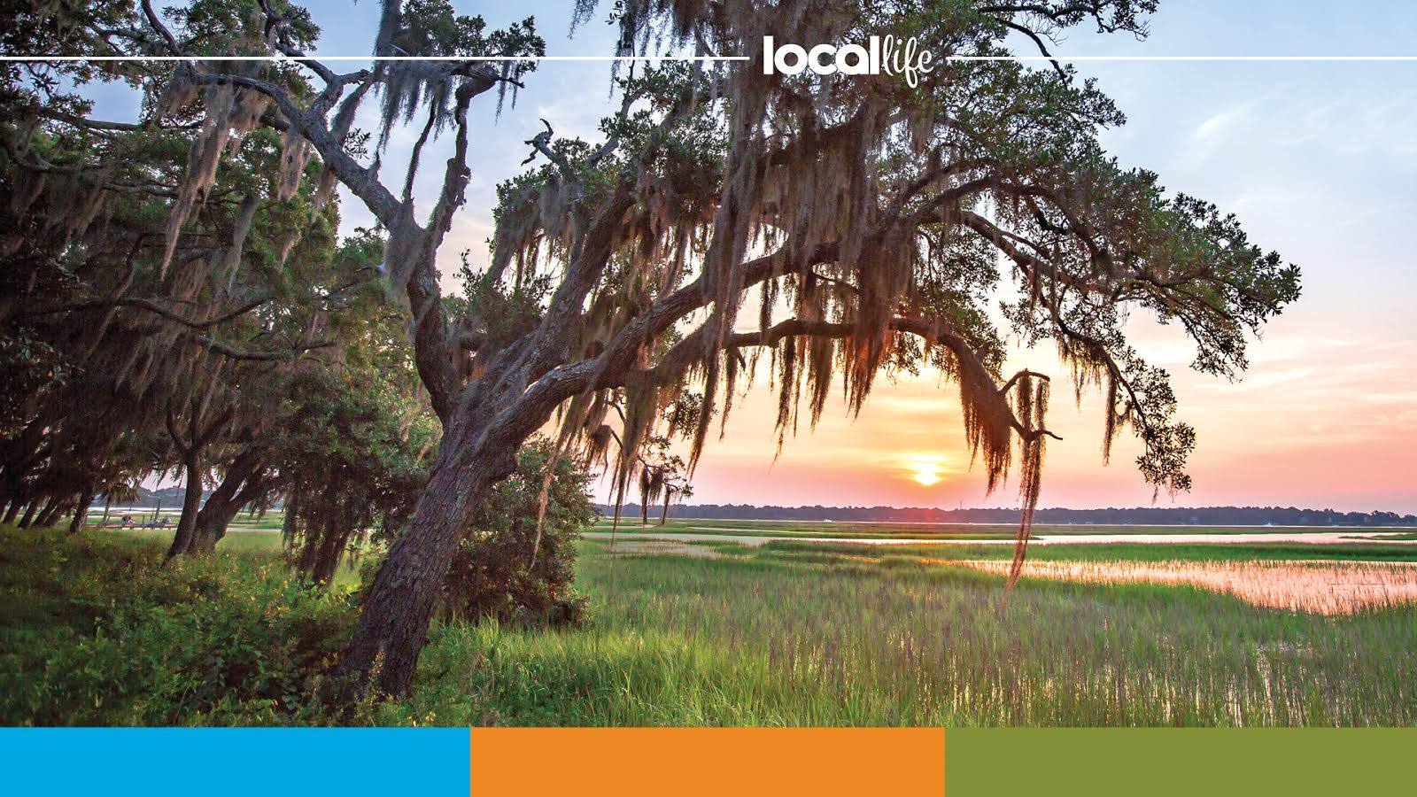 Photo Apr 01, 5 15 17 PM - Local Life