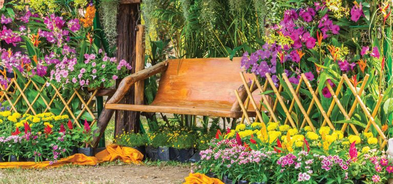 The Accidental Gardener: Create a picture-perfect garden