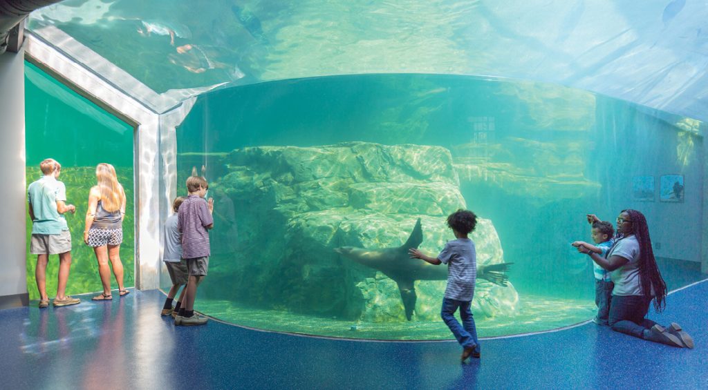 Destinations: Cool aquariums | LOCAL Life | Hilton Head Island & Bluffton