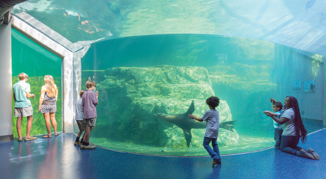 Destinations Cool aquariums LOCAL Life Hilton Head Island & Bluffton