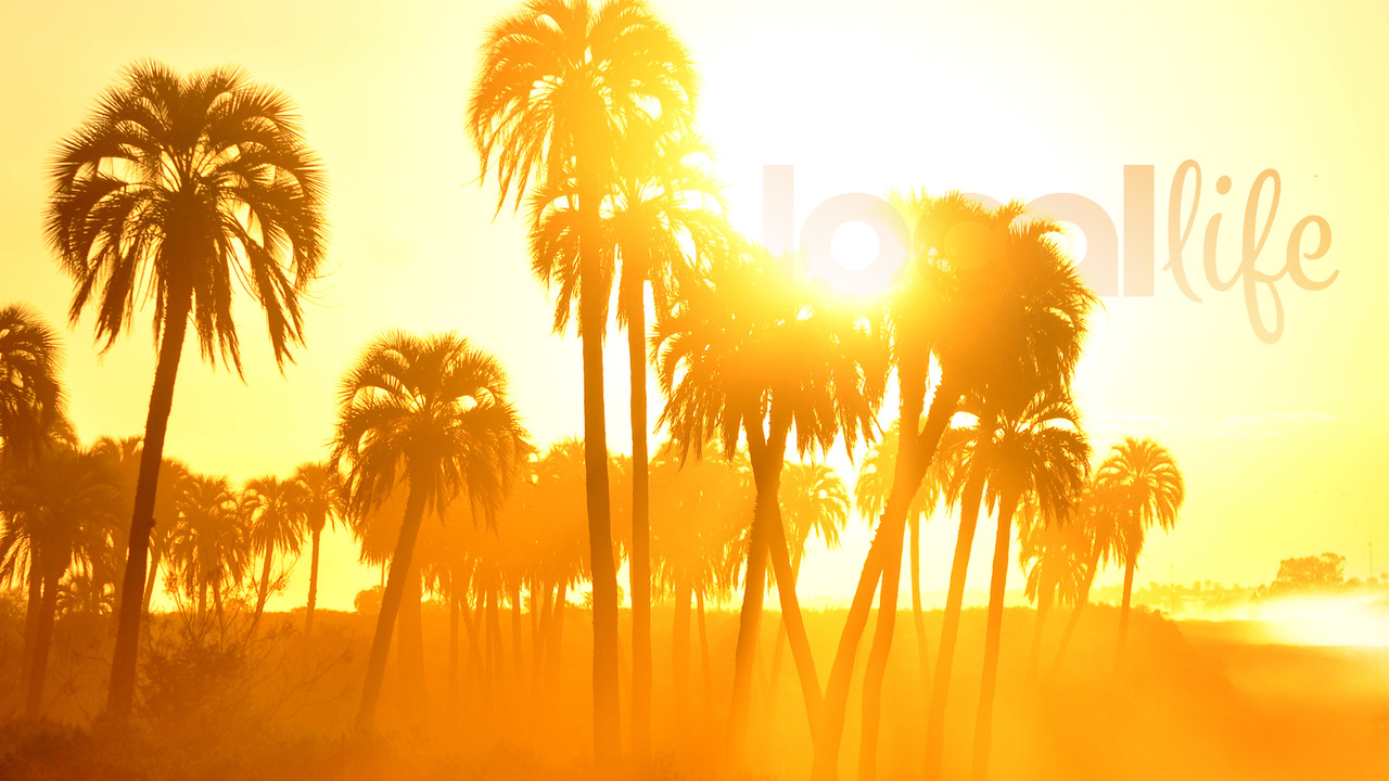 Joe Exotic Zoom Virtual Background vrogue.co