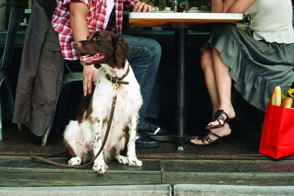 Couple sitting with a dog at a restaurant