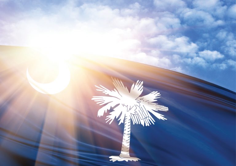 Origins of the South Carolina state flag