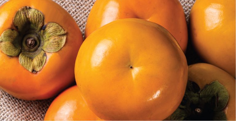 What’s Fresh in September? Persimmon