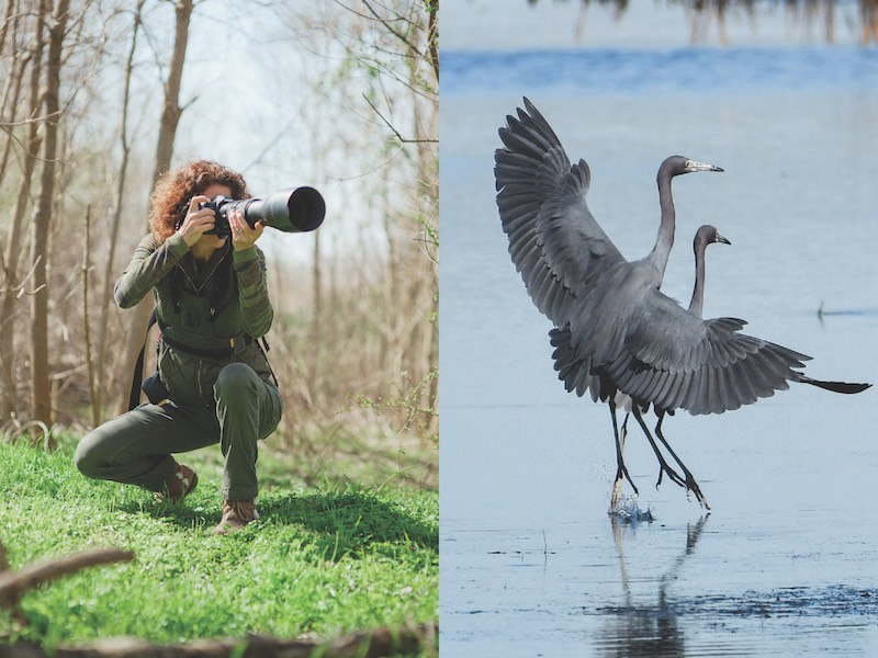 Artist Cacky Rivers taking a photo of a bird