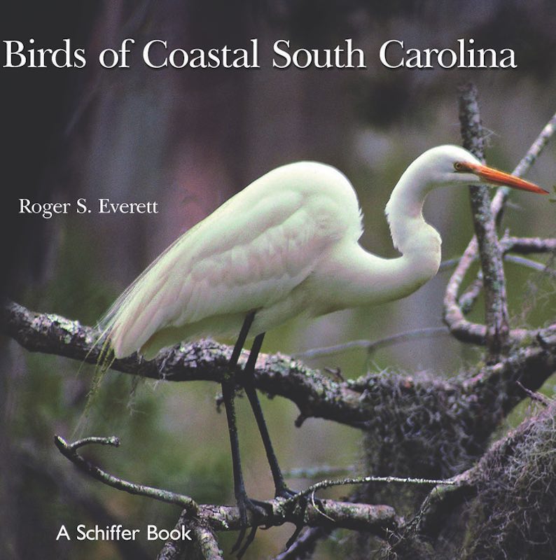 Birds of Coastal South Carolina 