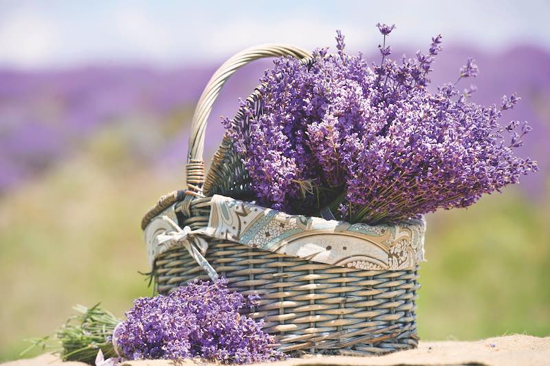 basket with lavender flowers