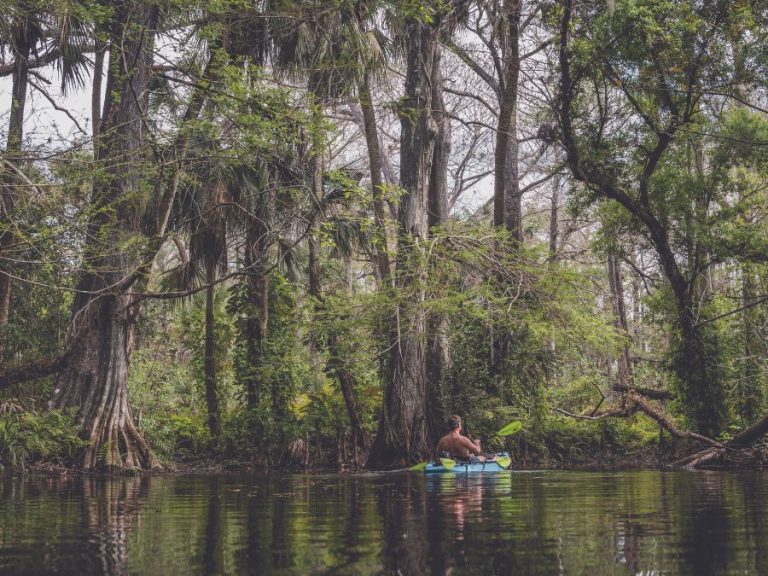 Unforgettable paddling or floating adventures in the Deep South