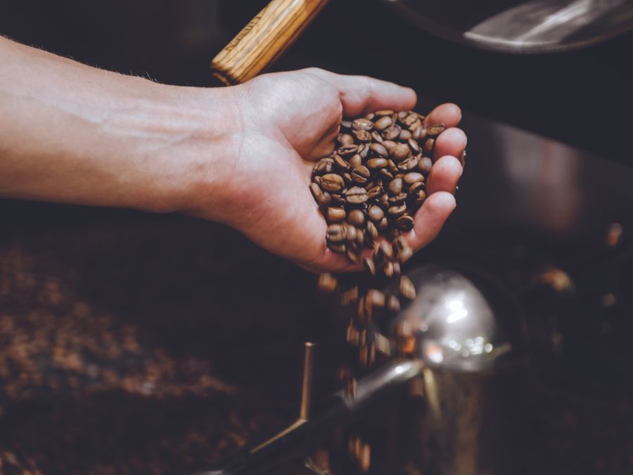 Coffee beans in a person's hand