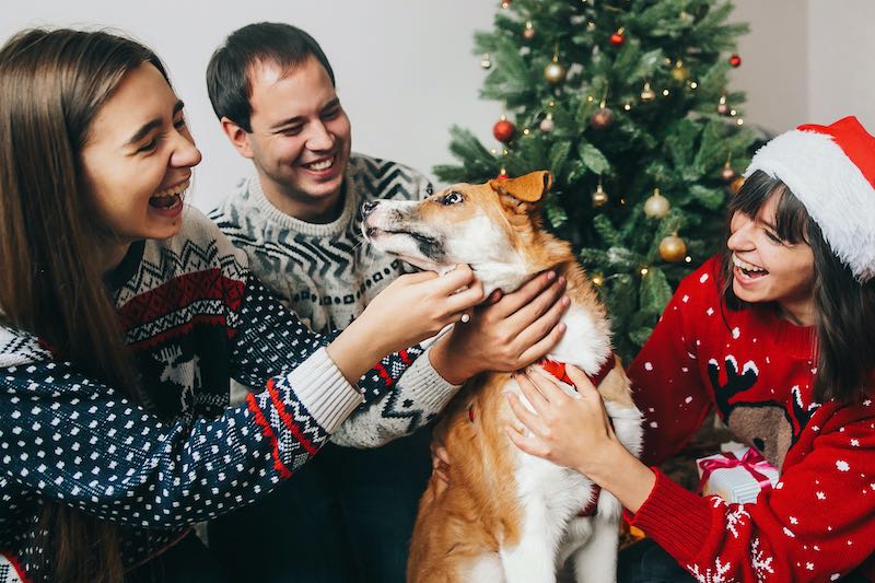 happy family having fun and playing with dog at christmas tree with lights. happy moments. merry christmas and happy new year concept, seasonal greetings. happy holidays celebration
