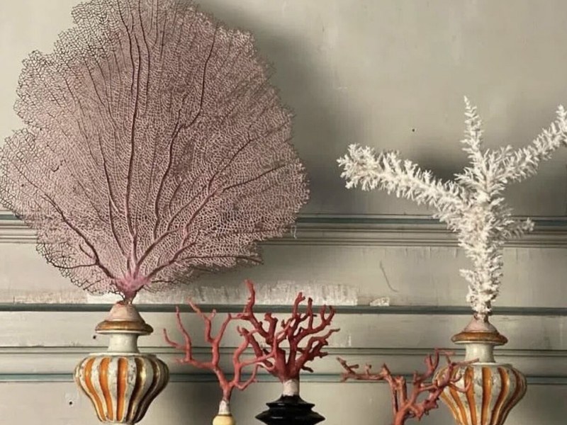 10 Petals Antiques & Interiors