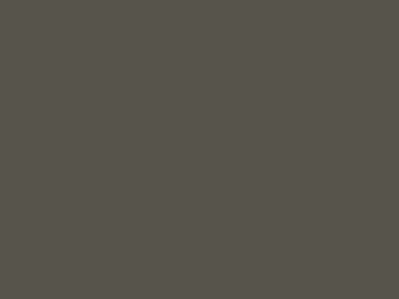 Ironside_Swatch