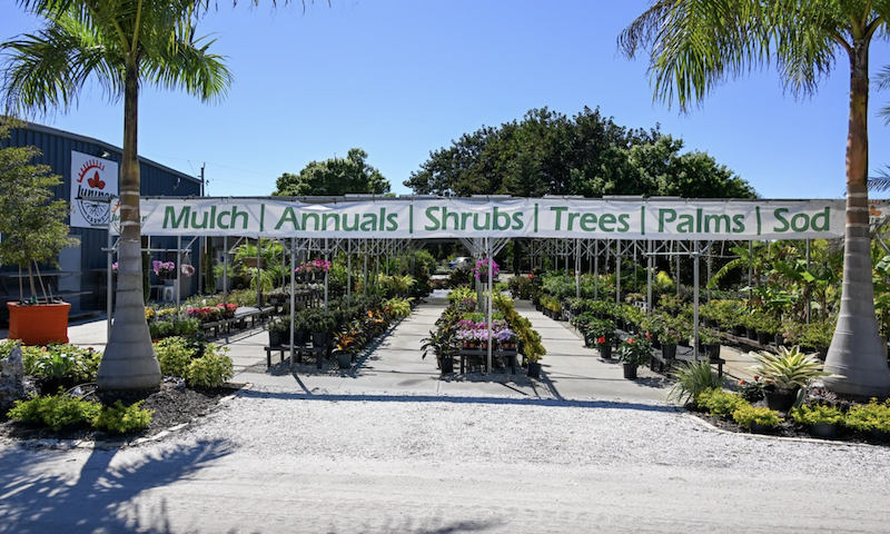 Juniper Landscaping, Hilton Head Island, SC