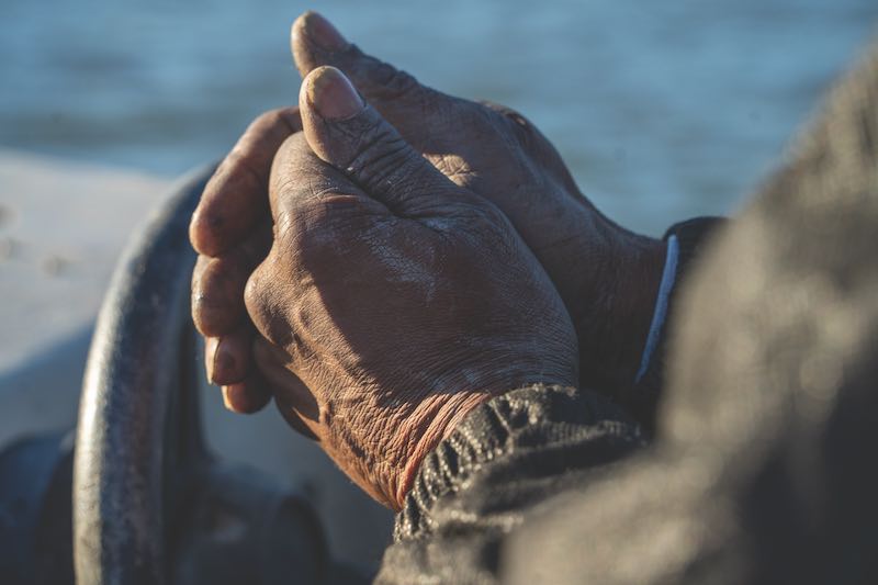 Hands of oysterman Johnnie Jenkins