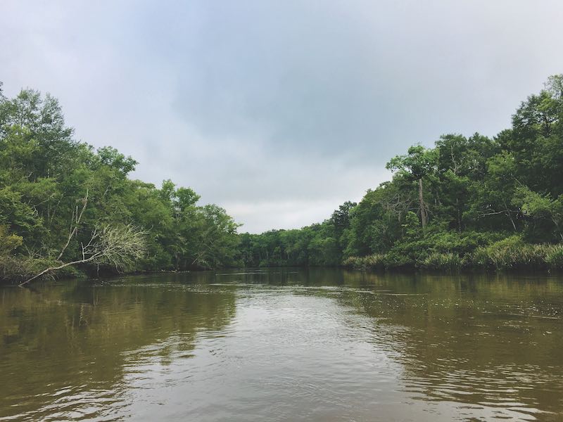 Abercorn Creek