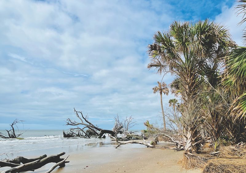 Botany Bay Plantation Heritage Preserve