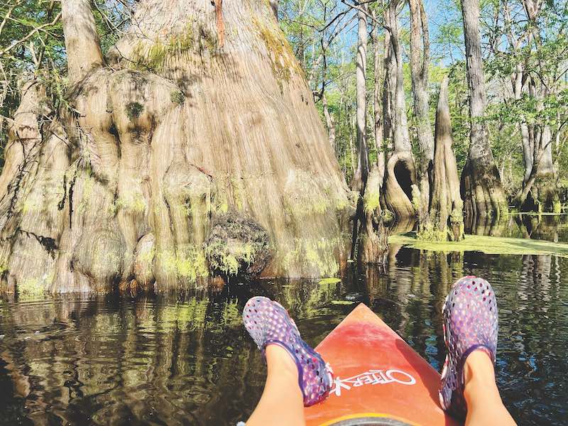 Ebenezer Creek - Kayaking