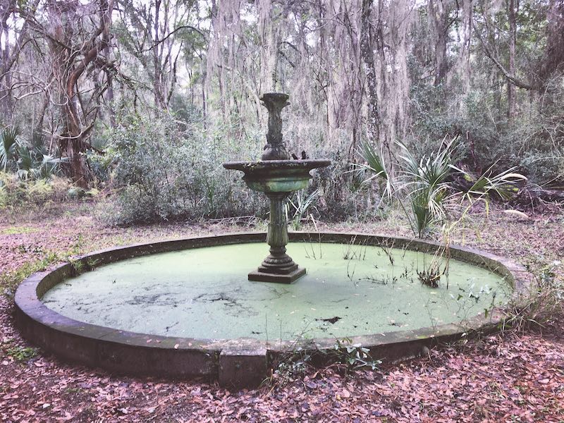 Harris Neck National Wildlife Refuge - Water Fountain