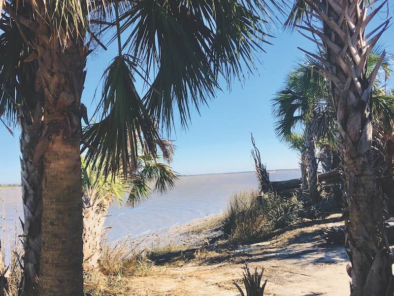 McQueen’s Island Trail - view of water with palm trees