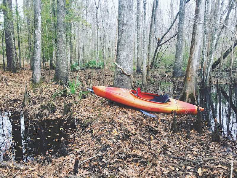New River - Kayaking - Bluffton, SC