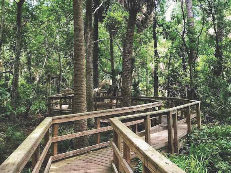 Sea Pines Forest Preserve