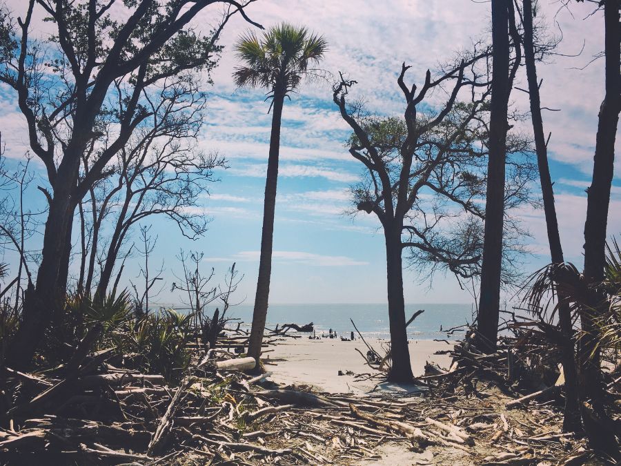St. Phillips Island, SC