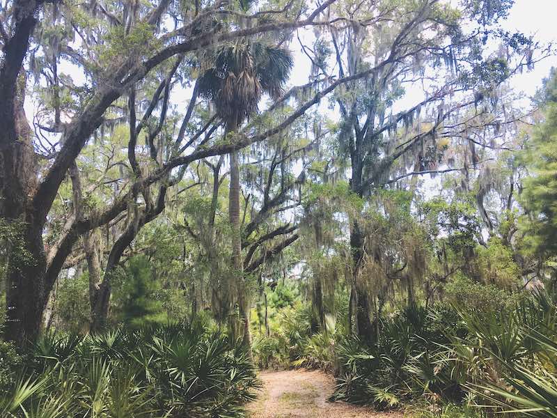 St. Phillips Island