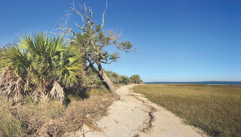 White Point, Pinckney Island National Wildlife Refuge