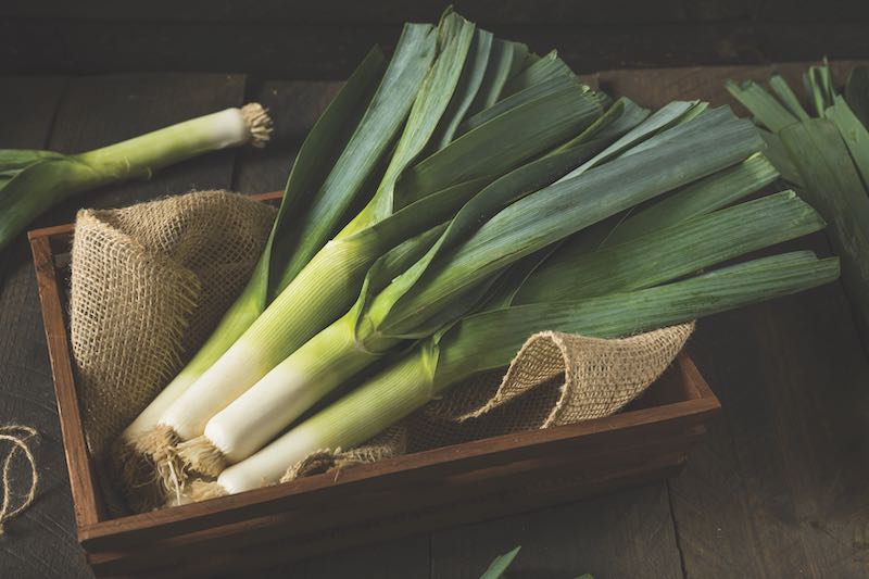 Raw Green Organic Leeks Ready to Chop