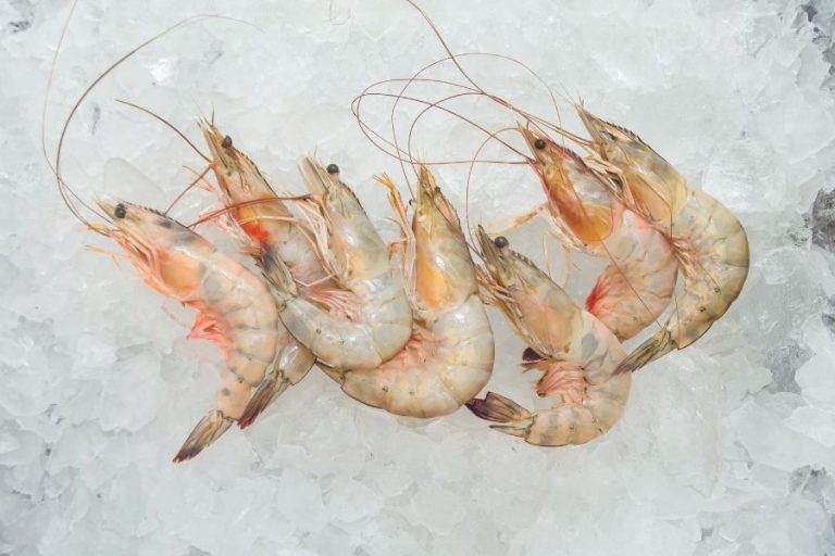 Dear chef, if I buy fresh shrimp, can I freeze them?