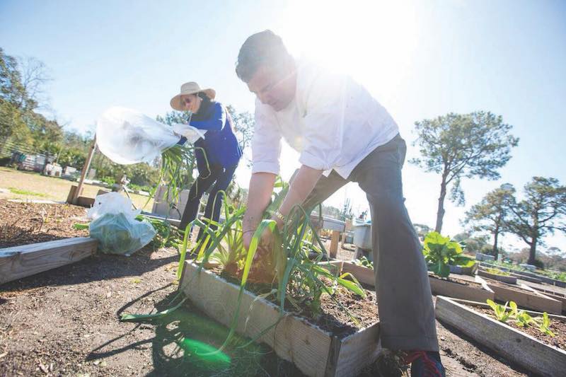 A man and a woman in a produce garden working