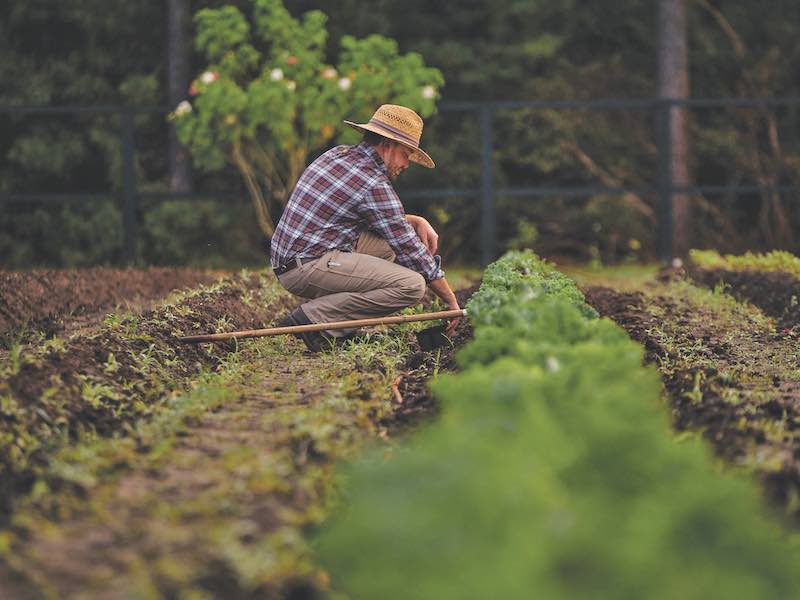 Man working on a farm