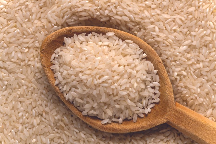 Carolina Gold rice