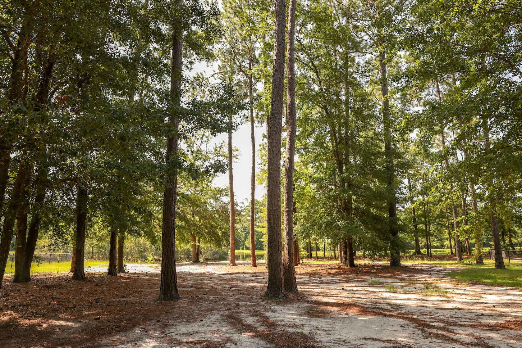 Burton Wells Dog Park - Beaufort, SC