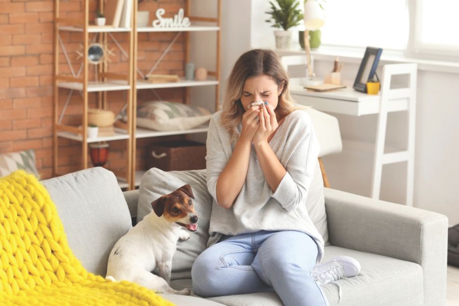 Woman blowing her nose next to her dog due to pet allergies