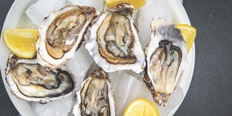 oysters fresh seafood healthy meal food snack on the table copy space food background rustic top view pescatarian diet