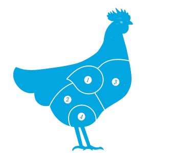 Chicken cuts