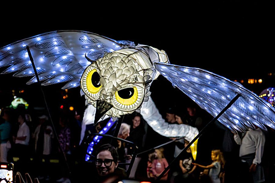Lantern Owl lit up in the night sky