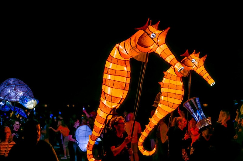 Lantern Parade Seahorses