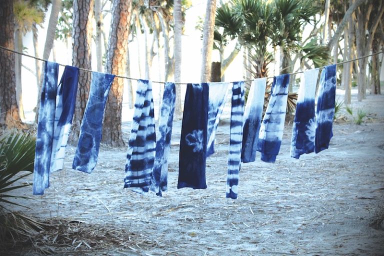 Lowcountry in Blue: 5 Coastal Adventures Inspired by the Color