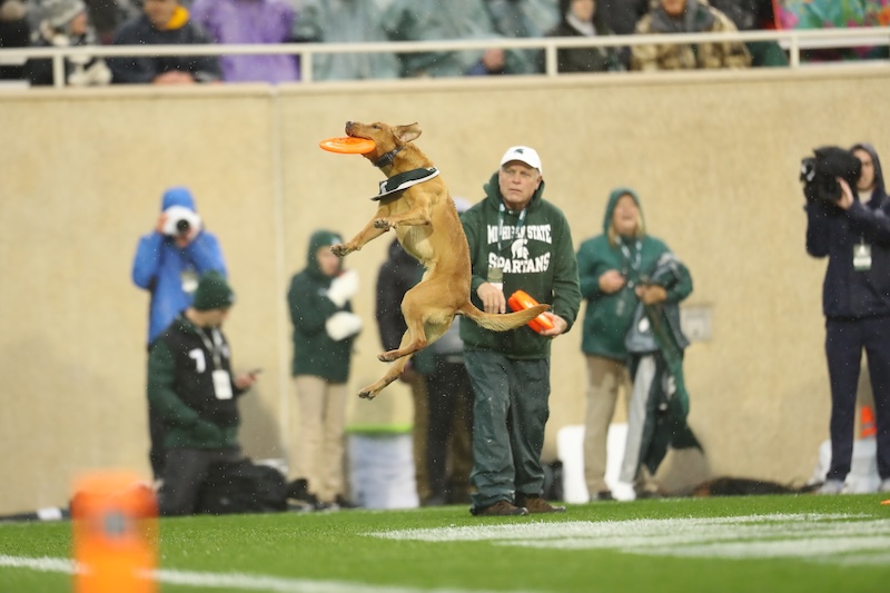 Zeke IV Michigan State University
