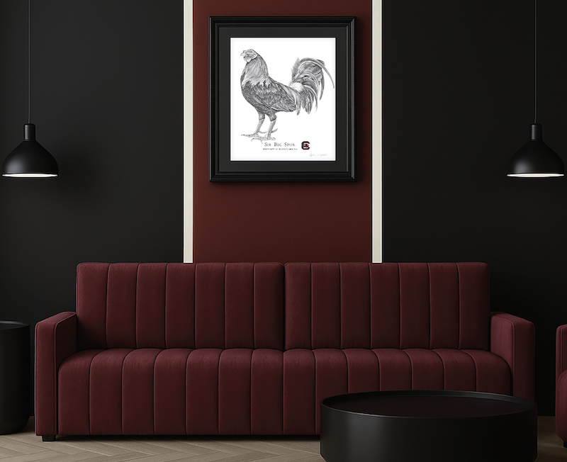Gamecock Fan Room