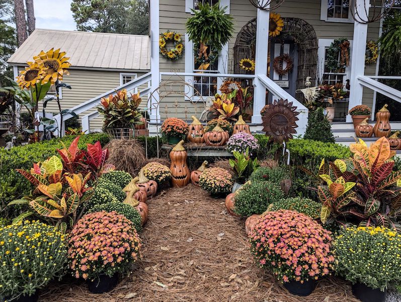 Antiques and Garden Collectibles at The Greenery on Hilton Head Island. Fall flowers, pumpkin and sunflower decor and scarecrows arranged outside of building.