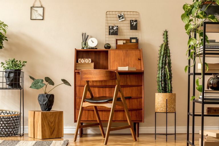Retro interior design of living room with wooden vintage bureau, shelf, cube, plants, cacti, books, decoration and elegant personal accessories. Stylish vintage home decor. Beige wall. Template.