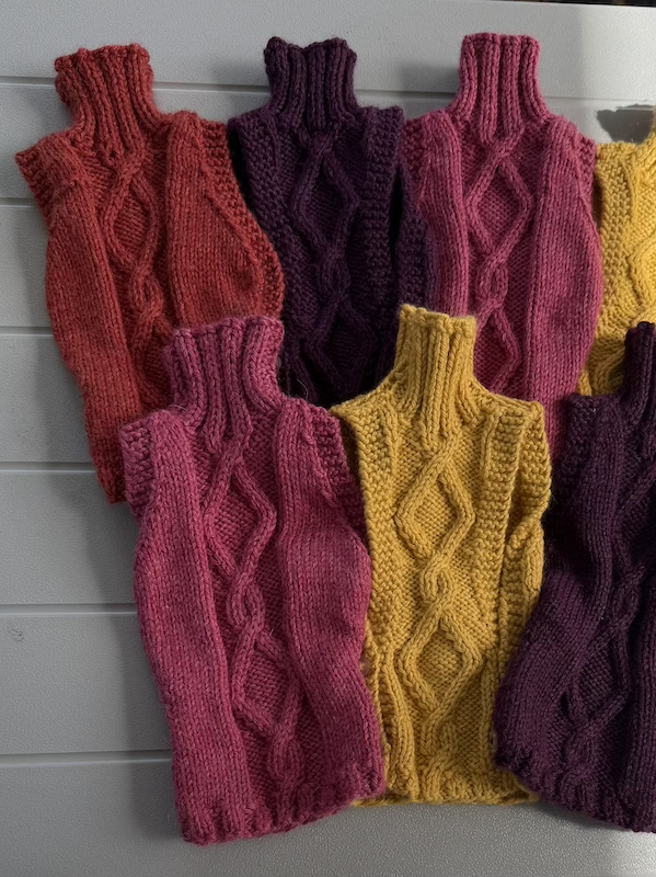 Caitlin Piette Chicken Sweaters
