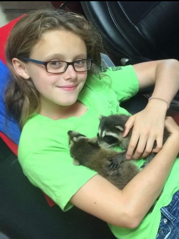 Charli's Critters child with raccoons