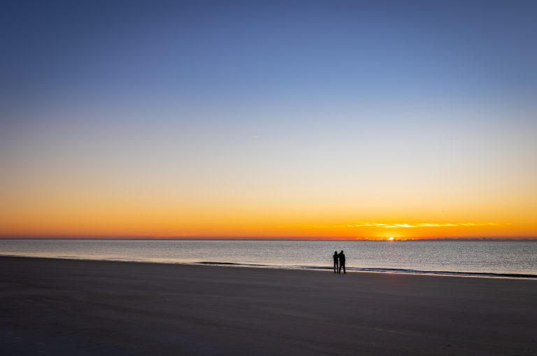 January 2026 Lowcountry almanac astronomical events, weather predictions and gardening advice