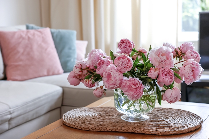 Peonies at home how to grow in Lowcountry Marie Antionette