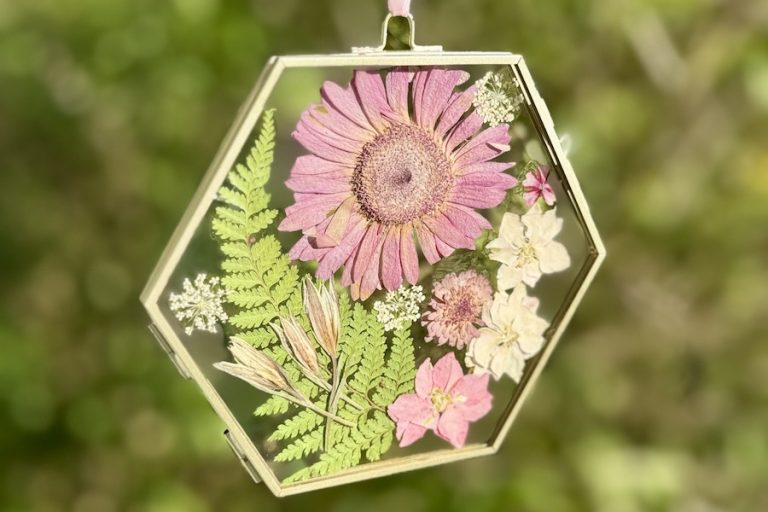 Pressed flower project diy at home gardening craft frames